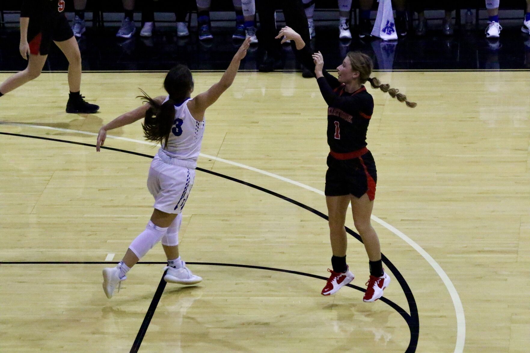 Lady Dawgs vs. Harrah13.jpeg